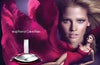 Euphoria Perfume 100ml   - Euphoria Perfume For Women 100ml  Calvin Klein